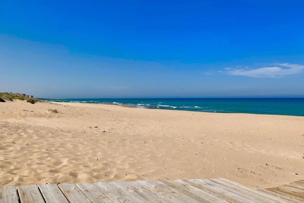Azul Beach By La Mata Beach Torrevieja Eksteriør billede